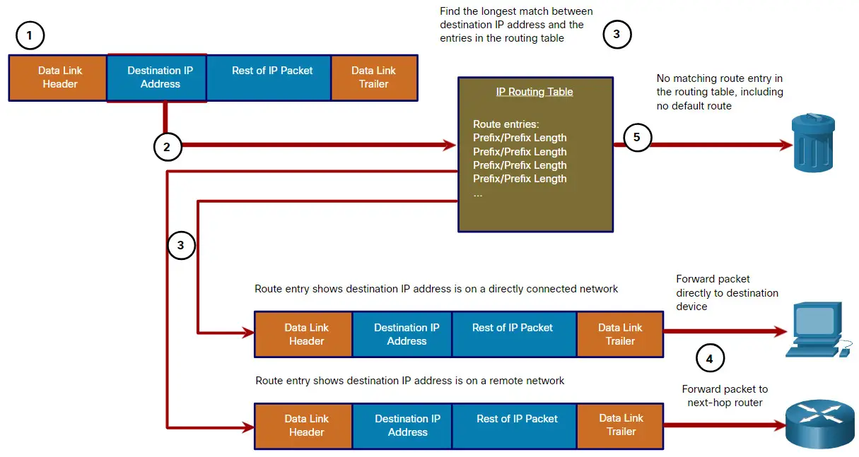 Packet
Forwarding