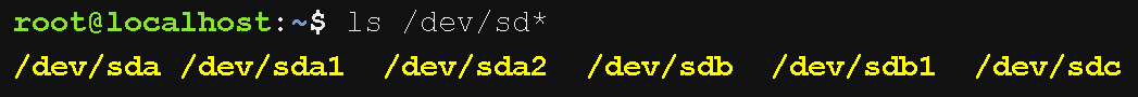 ls
/dev/sd